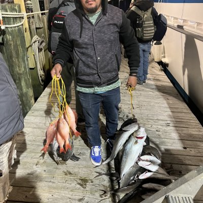 a person holding a fish