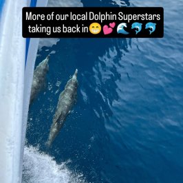 graphical user interface