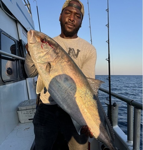 Person holding a large fish on a boat at sea, during sunset.