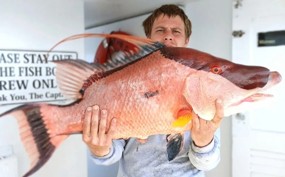 Deep sea fishing in Myrtle Beach SC