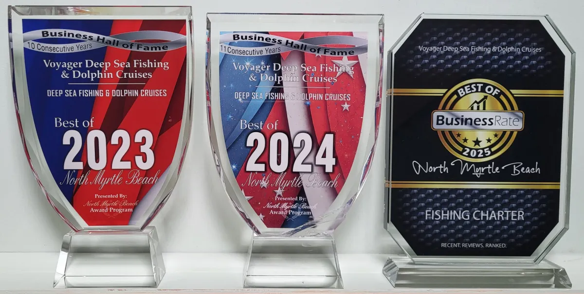 Three awards for Voyager Fishing and Dolphin Cruises for 2023, 2024, and 2025 displayed on a shelf.
