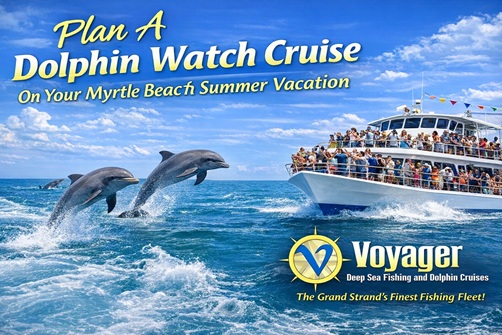 Dolphins leaping near a crowded cruise boat with text promoting dolphin watch cruises.