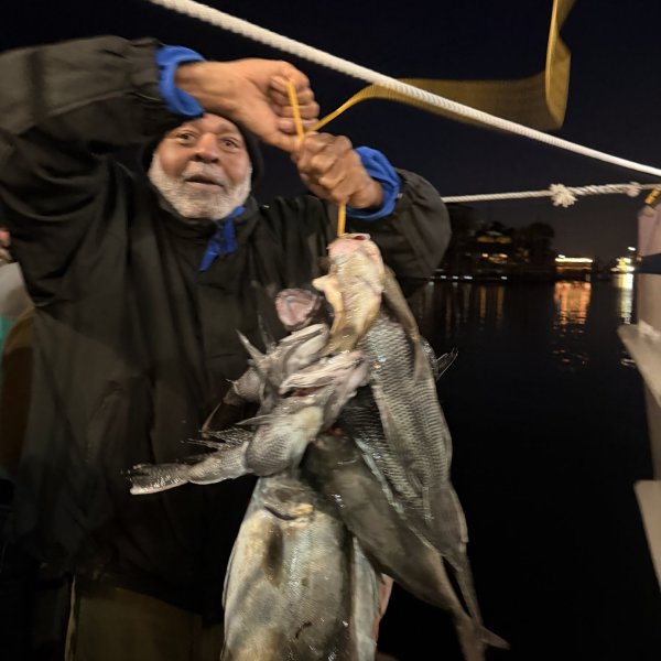 Person holding a string of freshly caught fish at night on a boat.