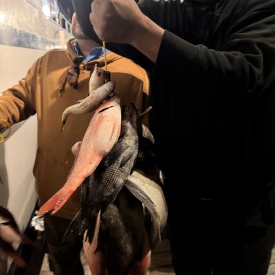 Two men holding a string of various fish on a boat at night.