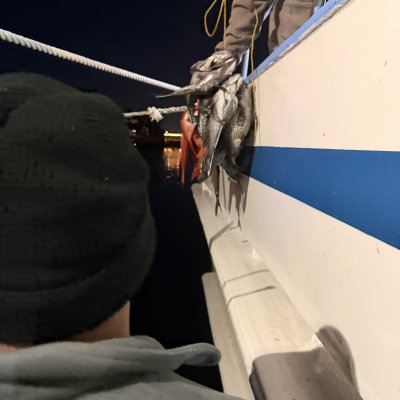 Person on boat holding a string of fish at night.