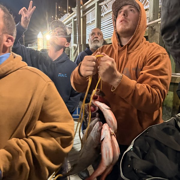 People on a dock at night, one holding fish on a rope, looking upwards.