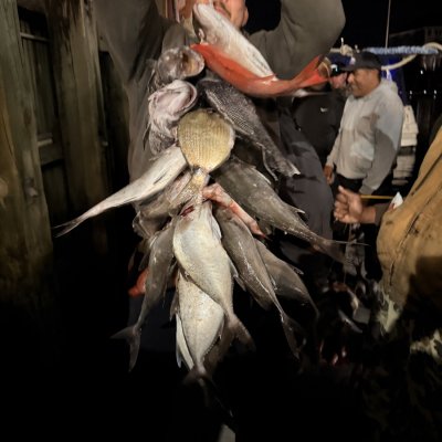 Man holding a string of various fish at night with people in the background.