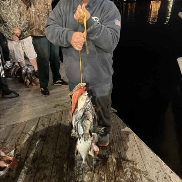 Man holding a string of fish on a wooden dock at night.