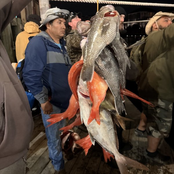 People on a dock at night holding a line with several fish.