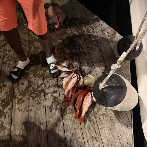 Person holding a string of fish on a wooden dock next to a buoy.