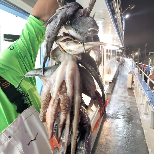 Person holding a string of various fish and octopus on a boat at night.