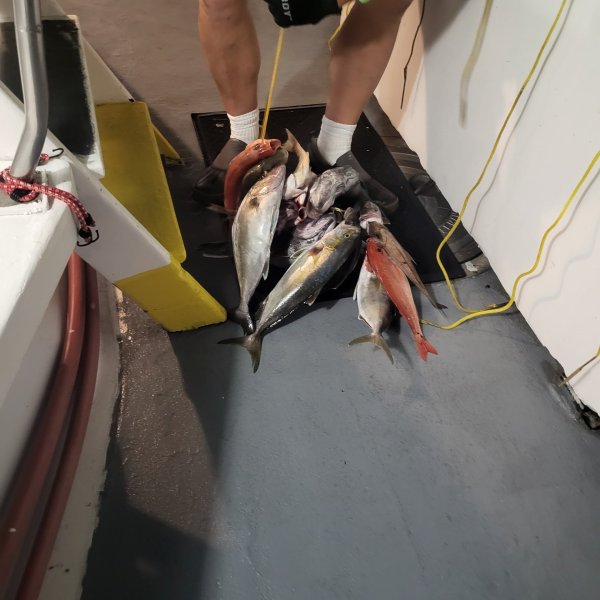 Person on boat with several freshly caught fish on the floor.