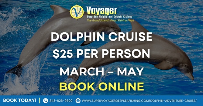 Two dolphins leaping; text about $25 dolphin cruise from March to May.